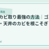 風呂のカビ取り最強の方法｜ゴムパッキン・天井のカビを根こそぎのアイキャッチ画像